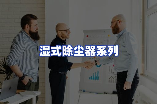 湿式除尘器系列